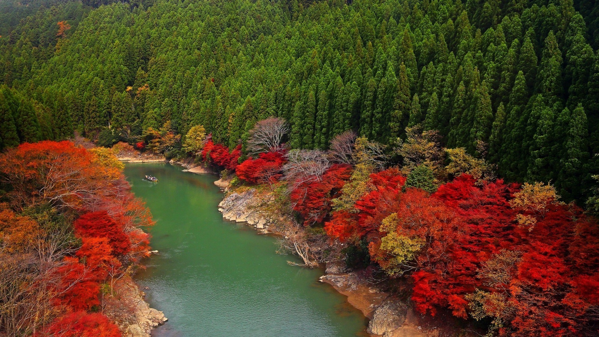 河流 池塘和溪流 池塘和溪流 水 河流 树木 户外 自然 旅游 景观 湖 木 叶 风景 秋天 日光 溪流 公园