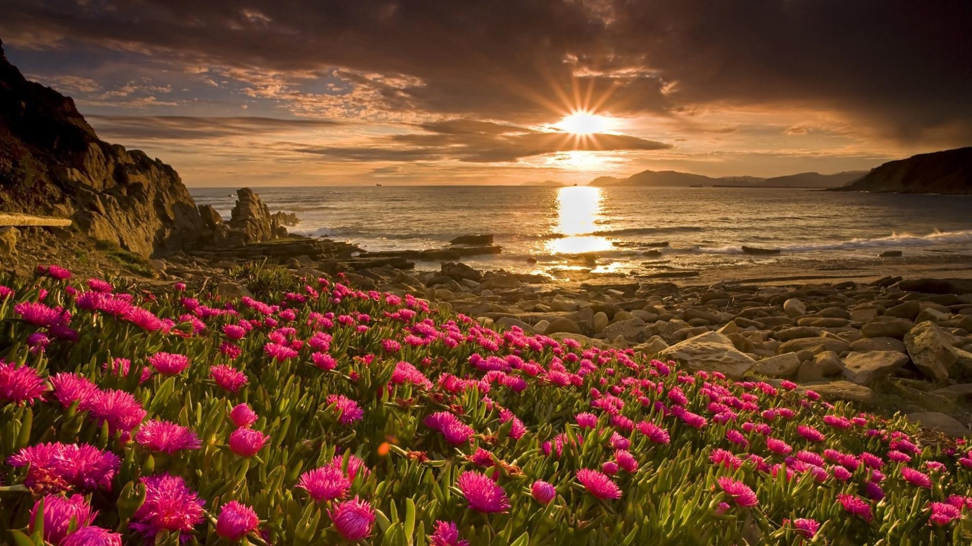 the sunset and sunrise nature sunset water flower landscape sea seashore beach dawn ocean outdoors summer sky sun dusk travel evening fair weather