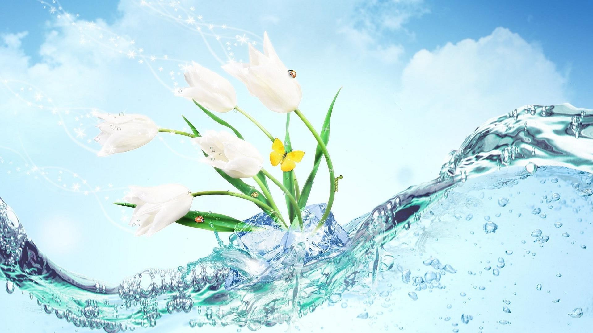 fiori in acqua natura freddo stagione neve inverno desktop