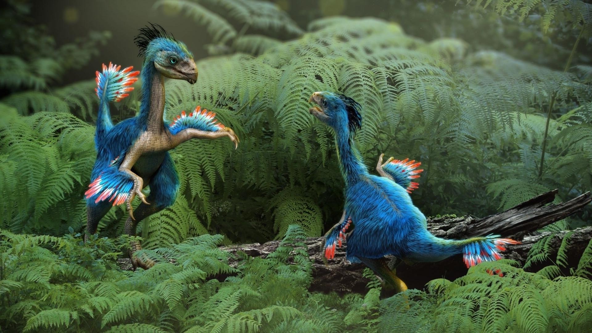 dinosaurios pájaro zoológico pluma vida silvestre naturaleza color loro luz del día animal aves pico tropical