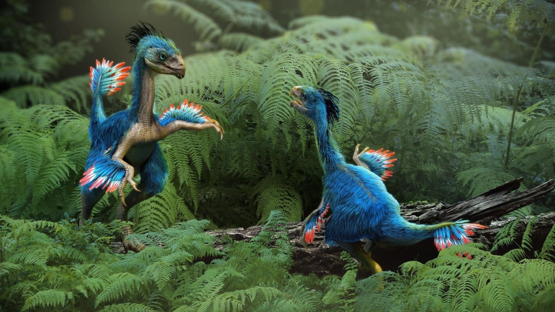 динозавры птица зоопарк перо дикой природы природа цвет попугай дневной свет животное птицы клюв тропический
