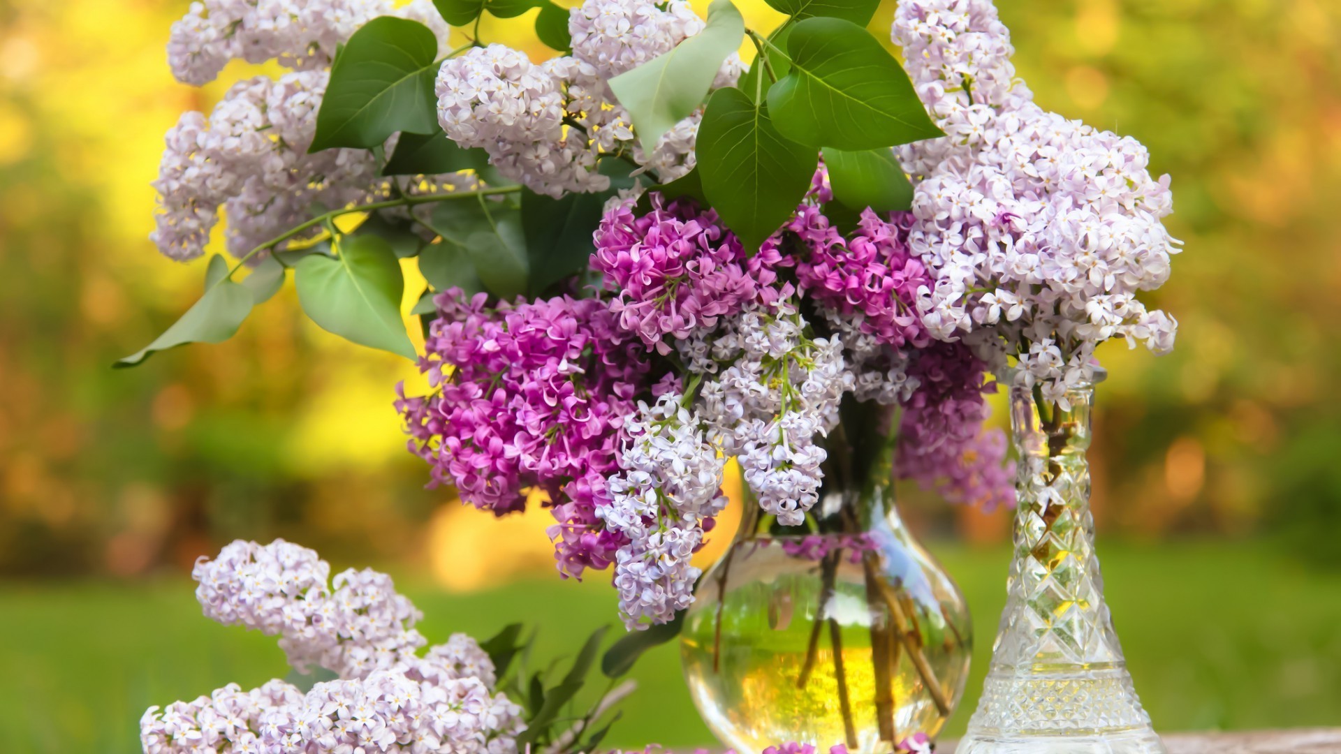 dans un vase ou un pot fleur nature flore floral feuille bluming jardin bouquet branche pétale arbre saison été lavande décoration arbuste couleur rose cluster