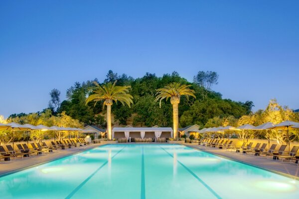 Ein langer Pool im Hotel mit Palmen