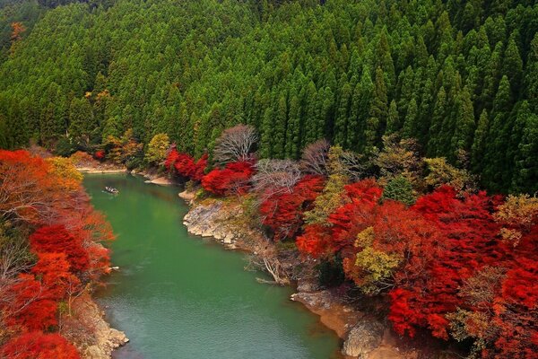 A river in Siberia in autumn from a helicopter