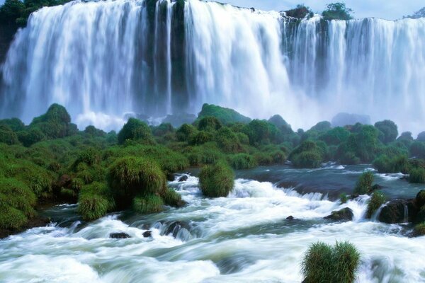 Grüne Bäume neben dem Wasserfall