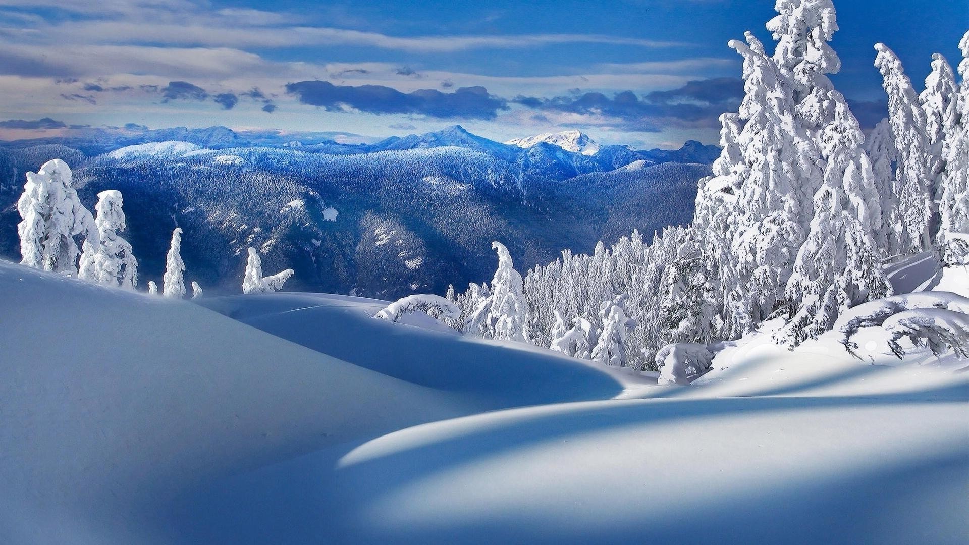 winter snow cold ice mountain frost frozen scenic landscape powder snowy wood frosty panorama season mountain peak alpine icy