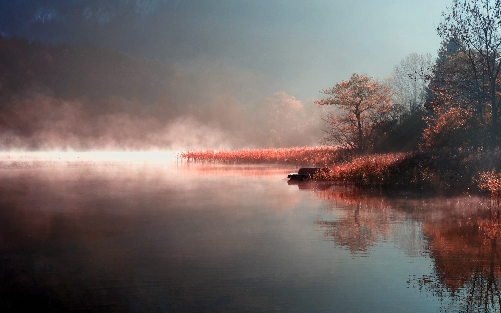 the sunset and sunrise water landscape dawn sunset fog reflection lake evening mist tree weather