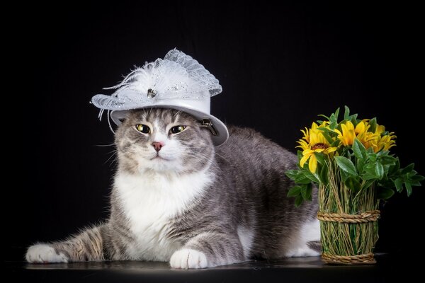 Chatte dans un chapeau blanc avec un bouquet de fleurs