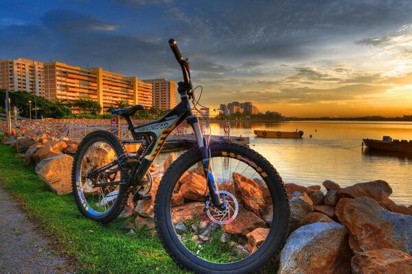 Bicycle on the background of the city by the water