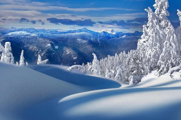 Paesaggio freddo invernale in montagna