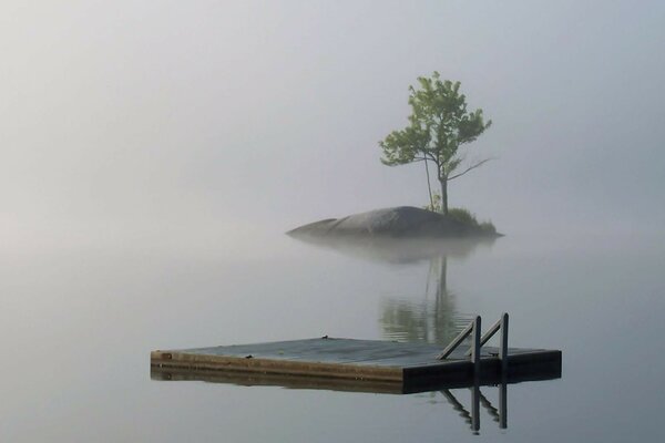 A lonely island in the fog with a tree