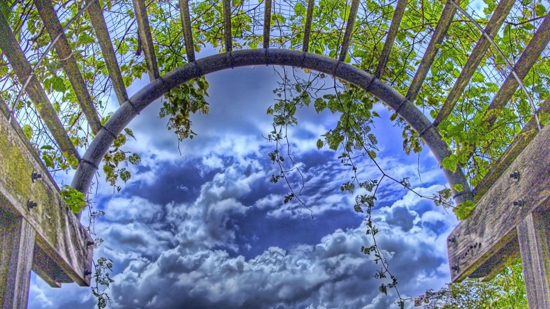 manzara ağaç doğa yaprak şube ahşap flora açık havada sezon güzel hava park gökyüzü büyüme yaz parlak