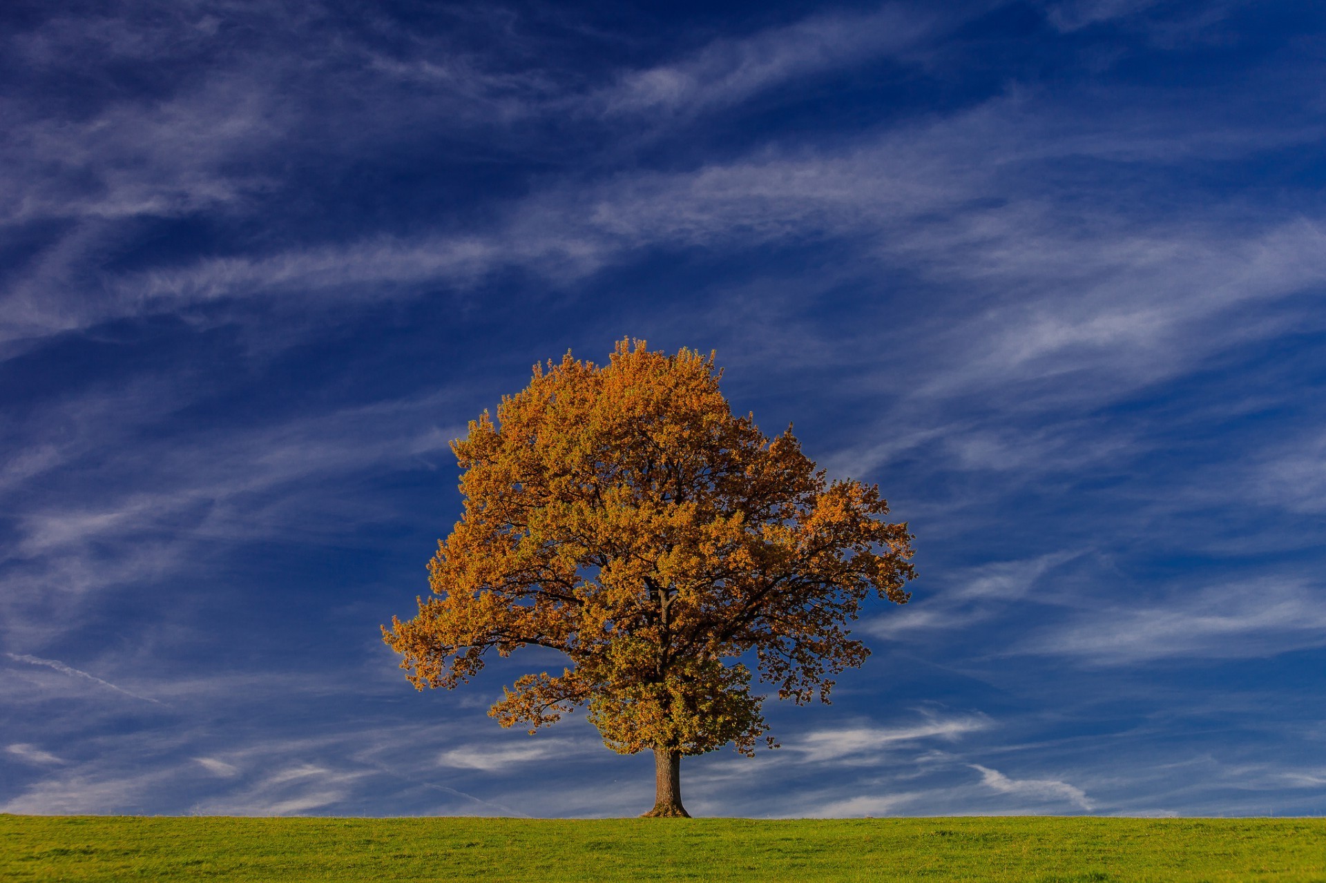 trees landscape tree countryside sky outdoors nature rural fall fair weather sun grass bright