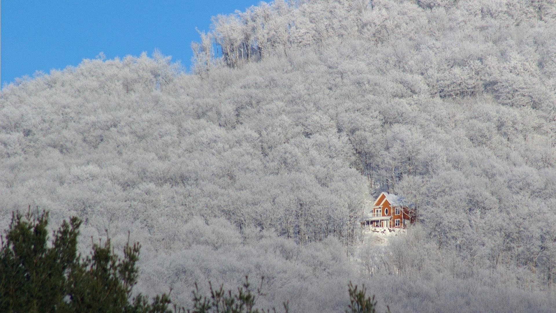 invierno nieve frío escarcha paisaje tiempo árbol luz del día al aire libre cielo congelado madera viajes naturaleza hielo temporada escénico