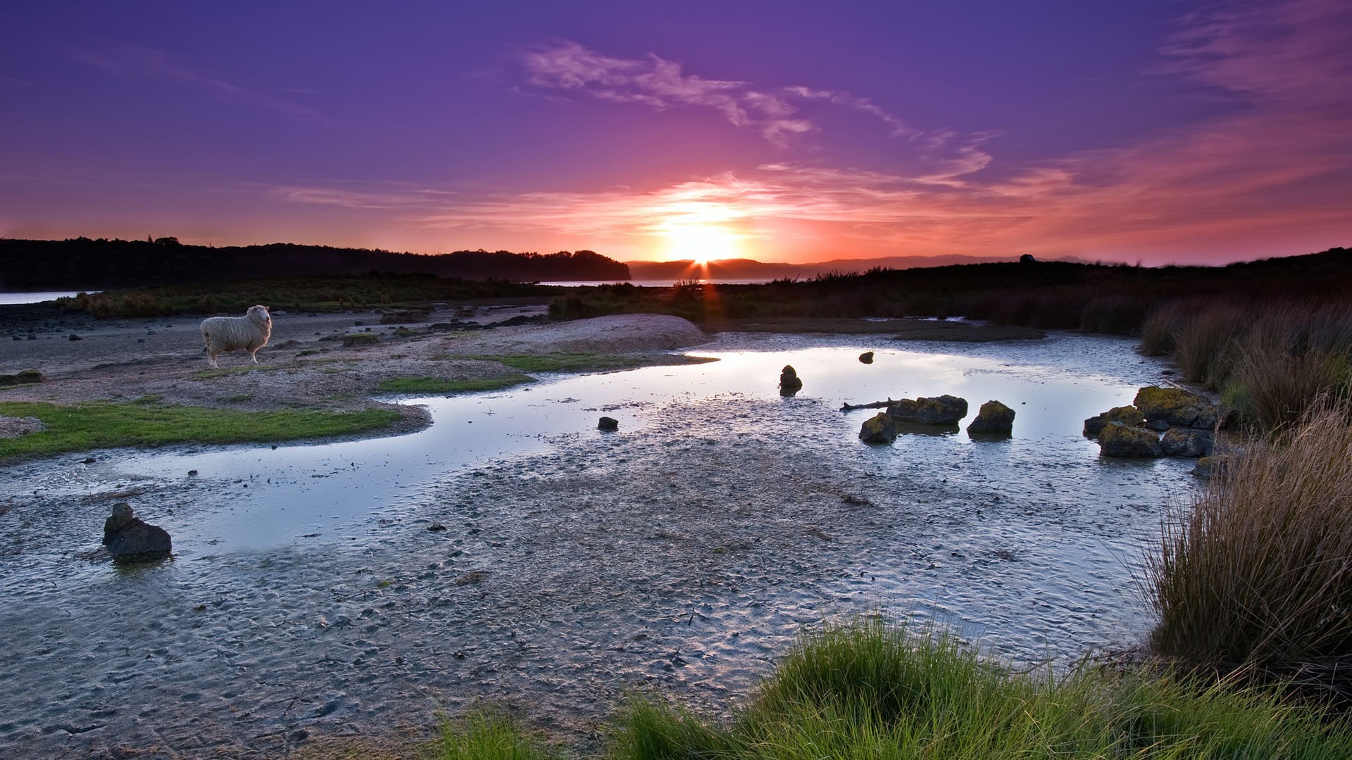 animals water landscape nature outdoors sunset travel seashore sky rock evening