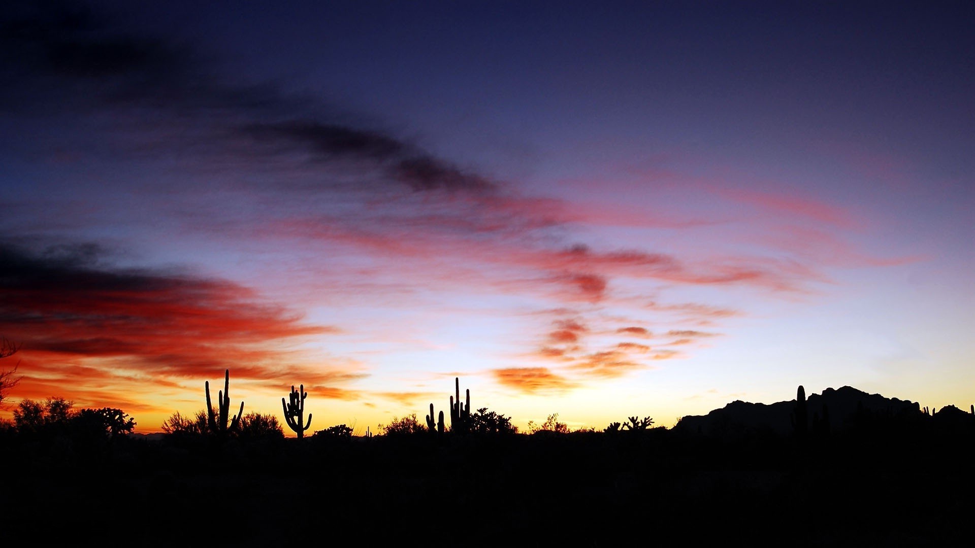 the sunset and sunrise sunset dawn evening dusk sun landscape sky silhouette nature outdoors backlit light tree