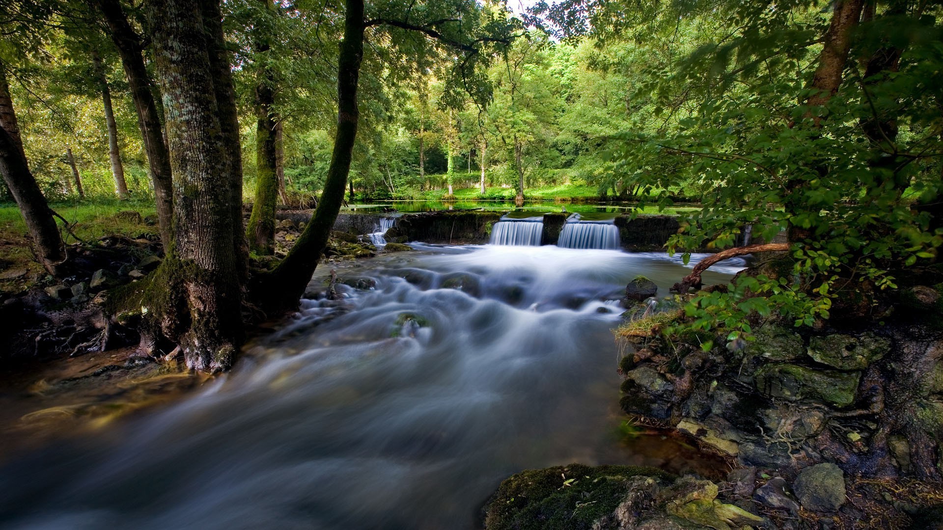 cachoeiras água rio madeira cachoeira córrego natureza outono folha paisagem grito árvore musgo ao ar livre cascata parque - rapids molhado rocha fotografia