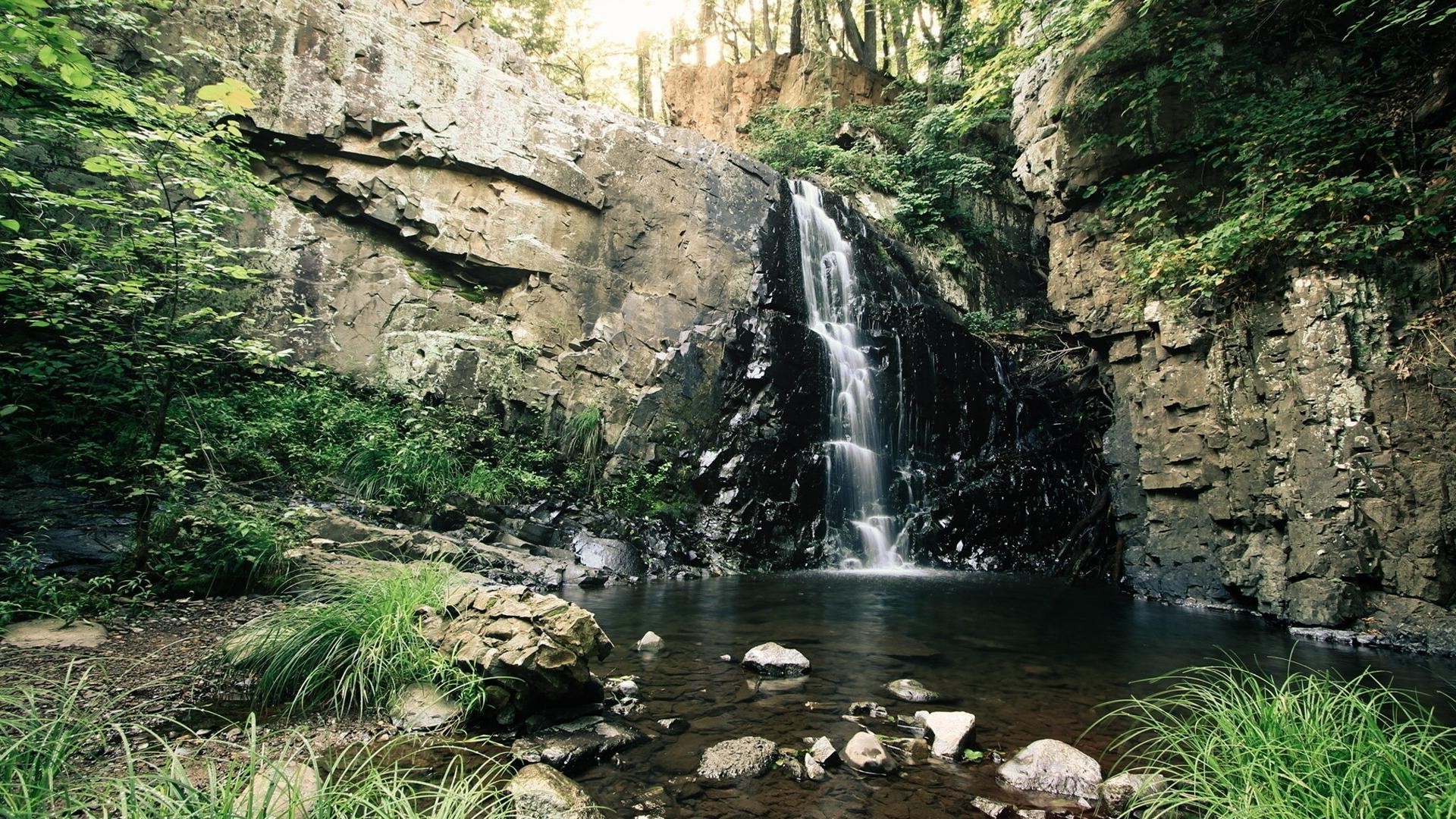 cascades eau nature cascade rivière bois flux voyage paysage rock à l extérieur pierre feuille bois été montagnes cascade humide ruisseau sauvage