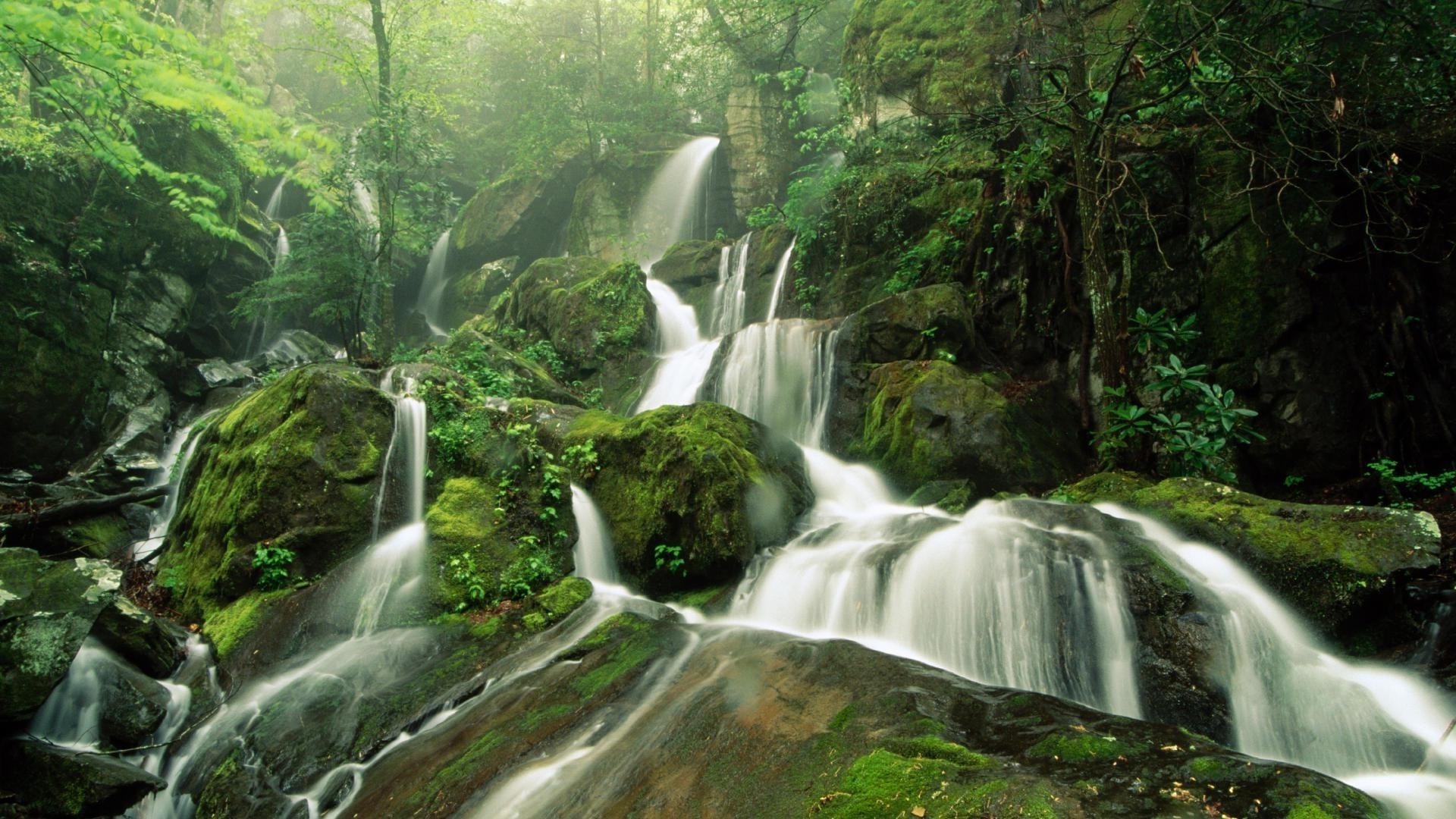 瀑布 瀑布 水 木材 自然 河 流 岩石 级联 叶 景观 苔藓 湿 旅游 郁郁葱葱 户外 野生 流 秋天 山