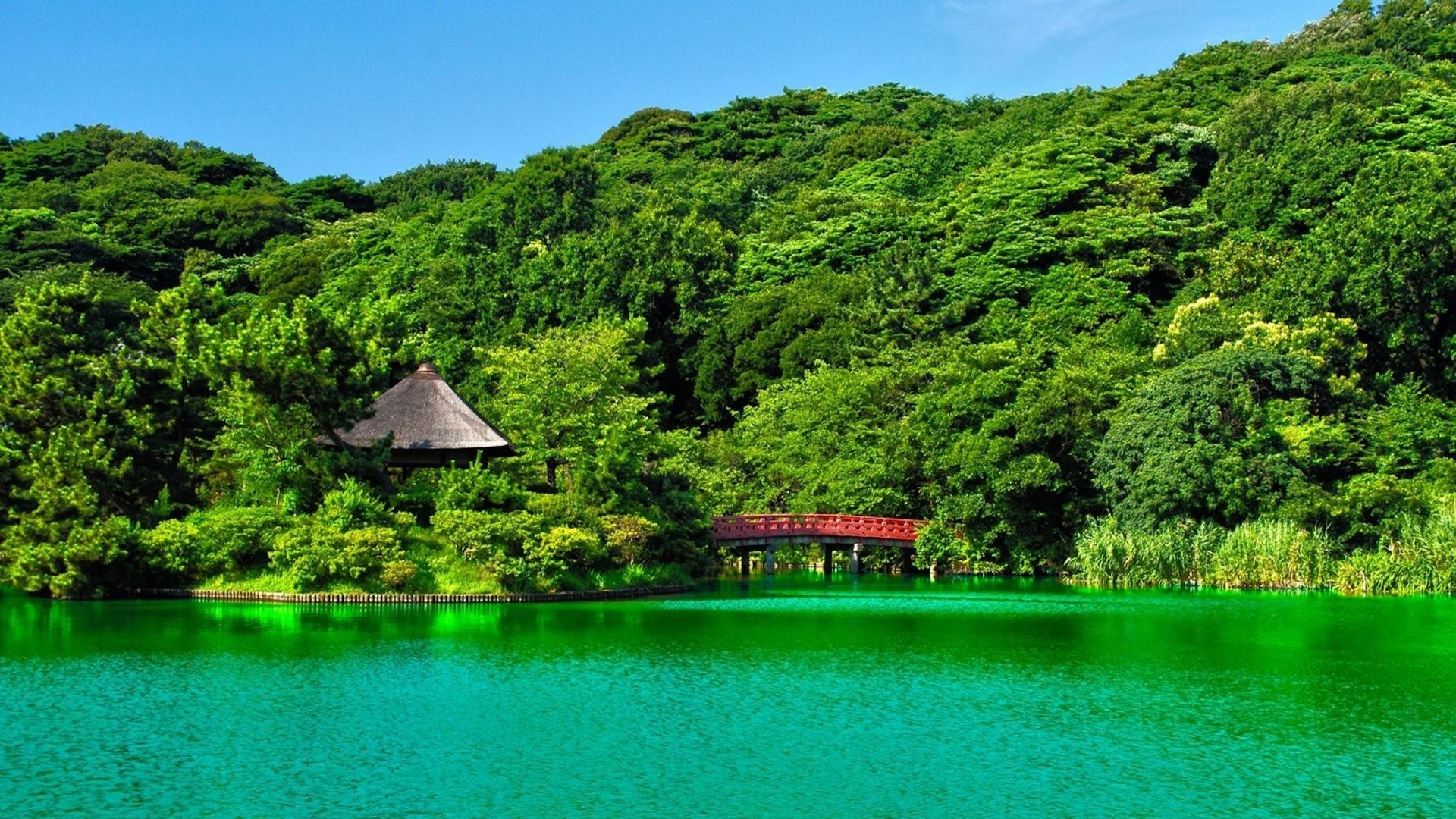 rivières étangs et ruisseaux étangs et ruisseaux eau bois voyage bois nature paysage lac île été idyllique tropical pittoresque belle à l extérieur montagnes rivière tourisme réflexion ciel