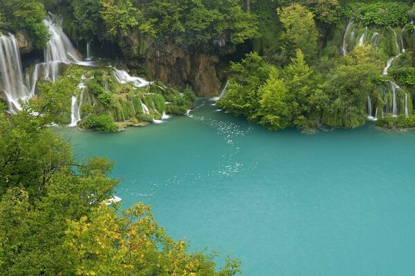 A tropical waterfall. The green jungle. Paradise