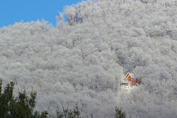 Ein einsames warmes und gemütliches Haus im Winterwald