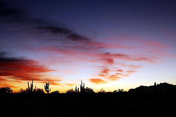 Anochecer o amanecer