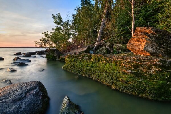 Photos of nature, water, forest and stones