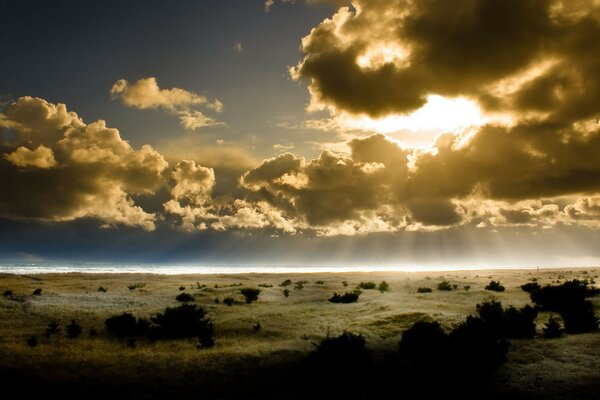 A beach with sunlight and rays