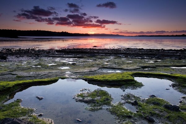 Sunset at the pond. Landscape