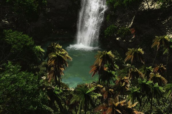 Cascade orageuse dans la forêt tropicale