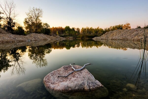 Ein großer Stein in einem kleinen Teich