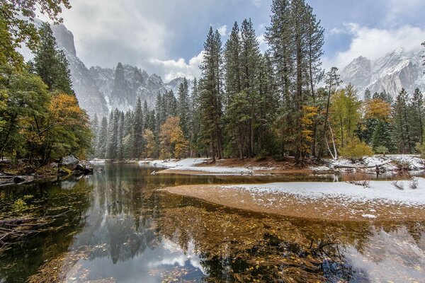 Cae la primera nieve en el bosque junto al río