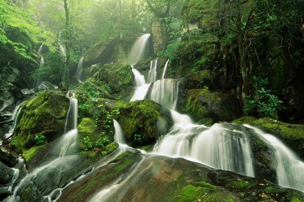 Великий водоспад в диких джунглях