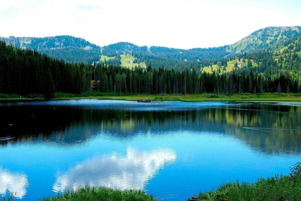 The blue expanse of a forest lake. Reflection of the sky in the water