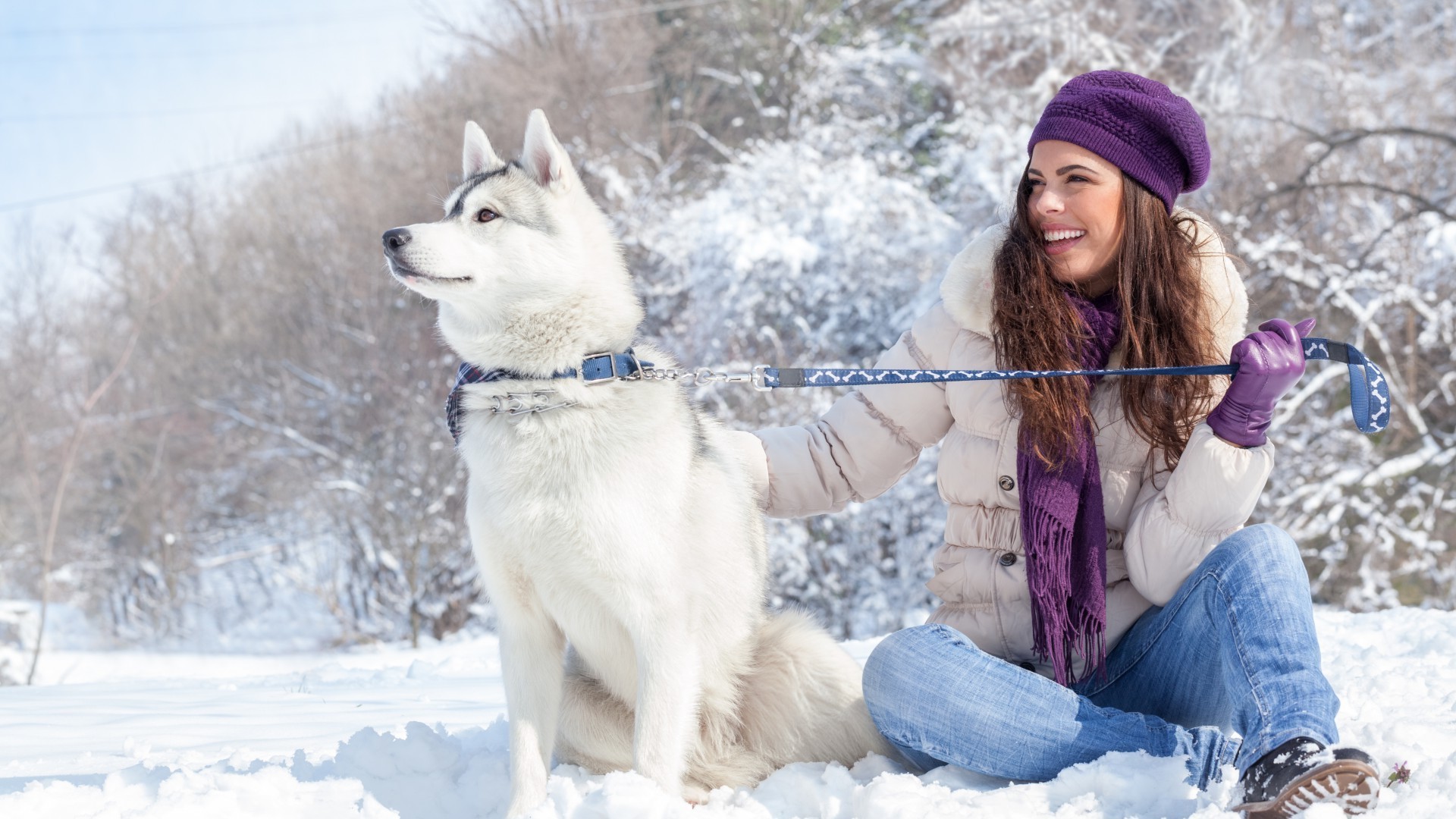 with animals winter snow cold fun sledge frost season frosty outdoors woman