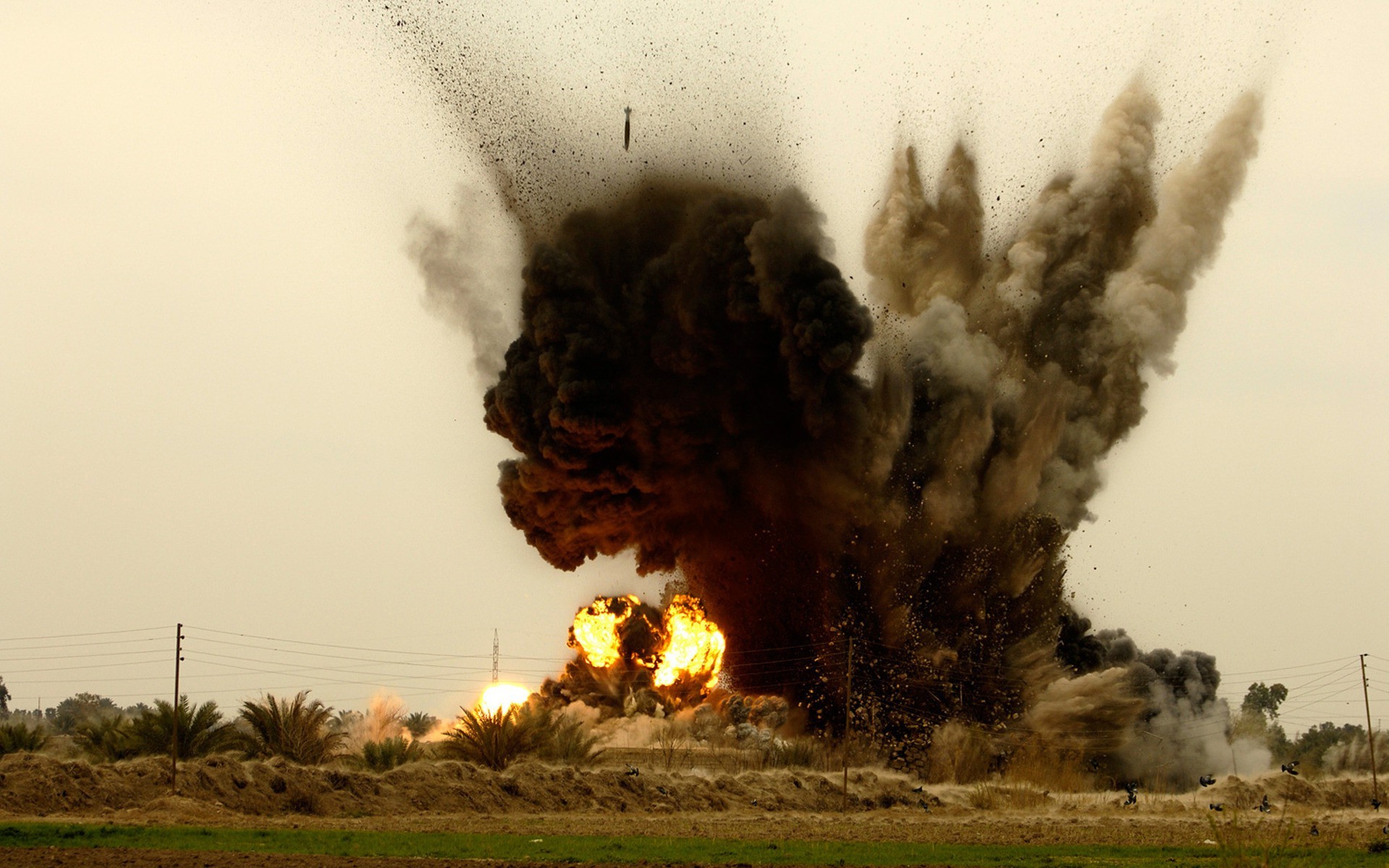 explosions fumée flamme catastrophe paysage à l extérieur arbre nature aube