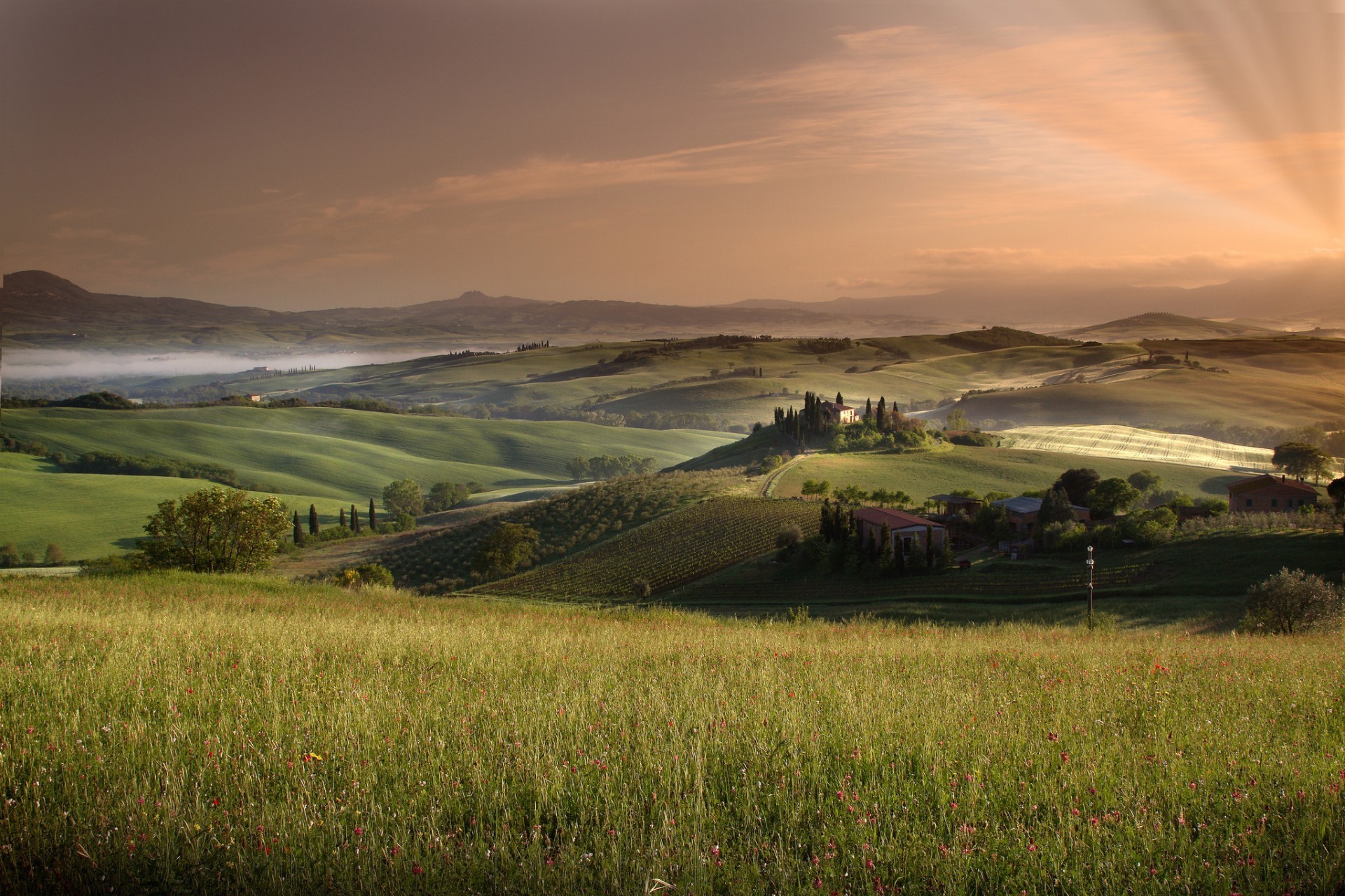 campi prati e valli paesaggio tramonto alba cielo terreni coltivati viaggi all aperto natura erba sera acqua campagna agricoltura sole