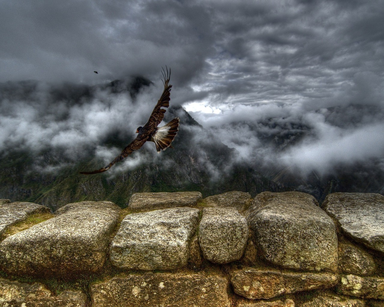 animals nature landscape rock outdoors stone water sky