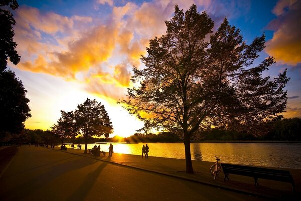 Trees and people on the background of sunset near the river