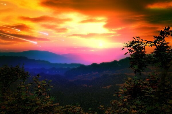 Coucher de soleil dans la forêt et les météorites dans le ciel