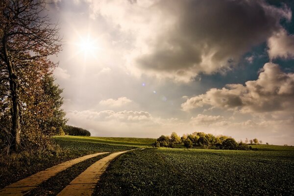 The road through a green grass field