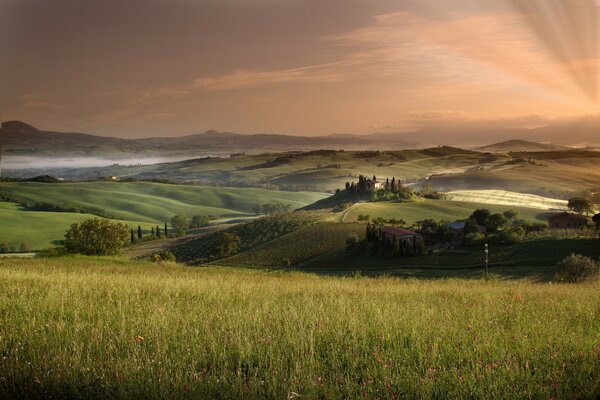 Bellissimo paesaggio di prati e tramonto