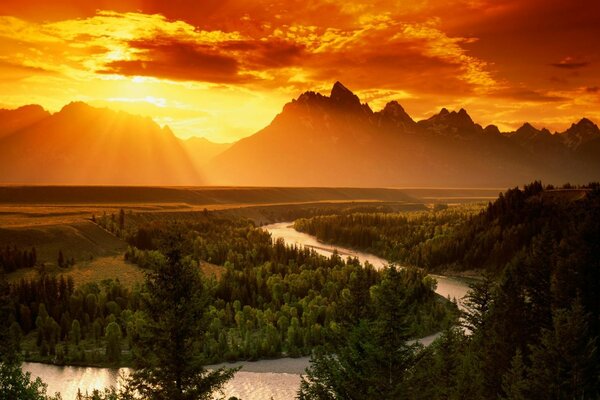 Coucher de soleil de feu sur la forêt et la rivière