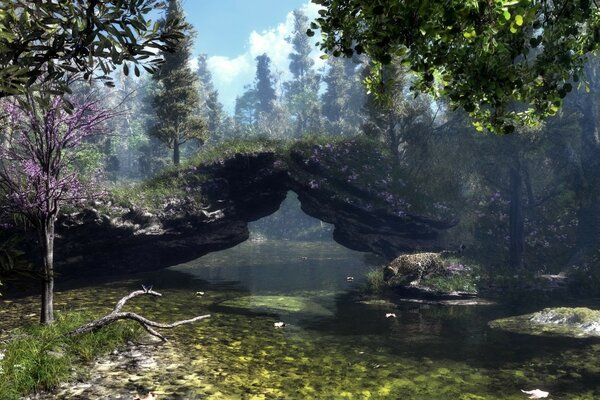 Paysage de la nature de la forêt au bord de l eau