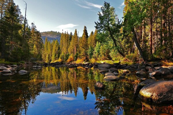 Photos of nature in autumn. Pond in the forest