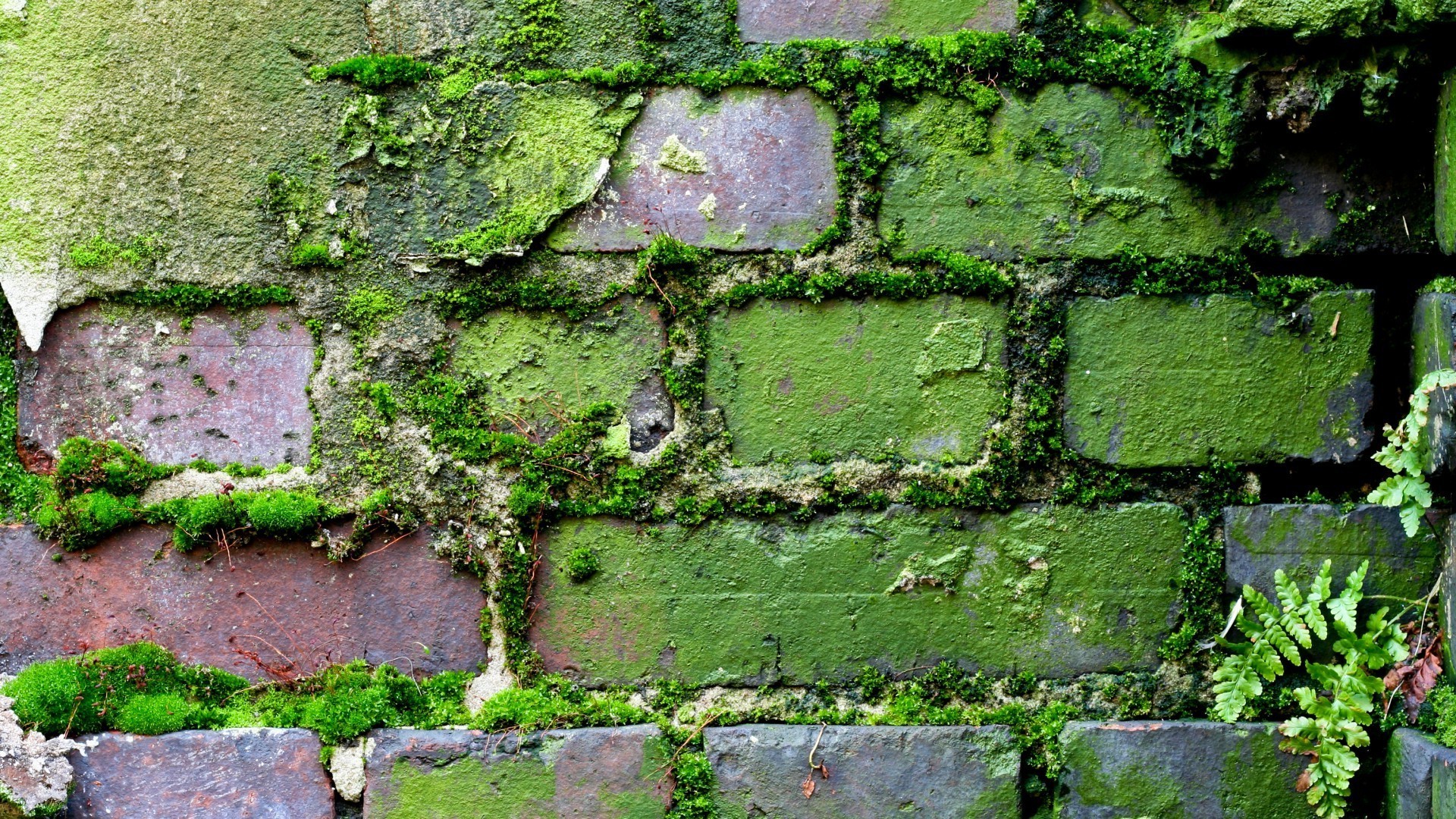 beton wand textur desktop muster alt oberfläche stein rau abstrakt bau ausdruck ziegel hintergrund zement außen tapete stoff flora haus