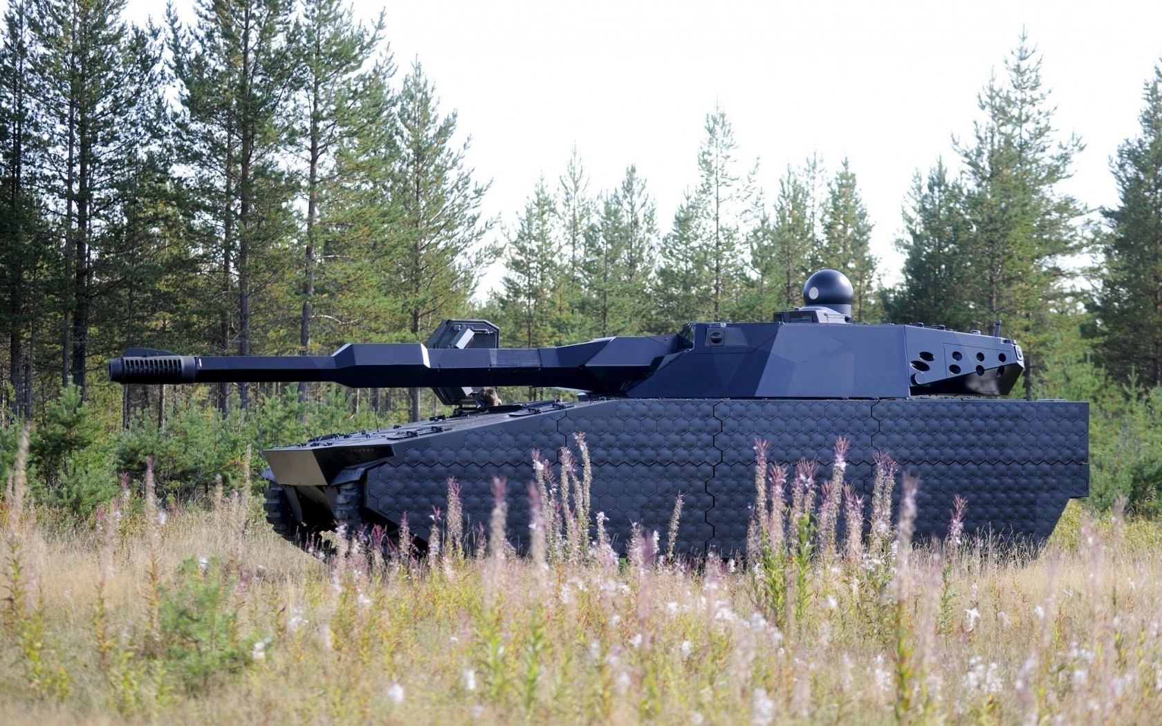 bodentechnik militär krieg im freien armee holz auto landschaft waffe kampf schlacht sommer pistole natur