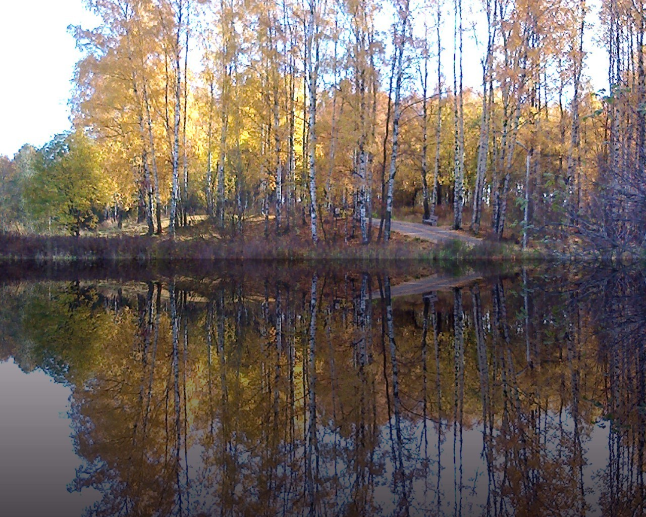 herbst herbst holz holz blatt landschaft natur umwelt jahreszeit wasser im freien reflexion park gold see landschaftlich zweig gutes wetter licht fluss