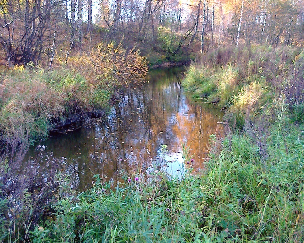 осень воды природа древесины пейзаж река на открытом воздухе отражение осень дерево парк лист поток живописный дикий трава озеро рассвет среды